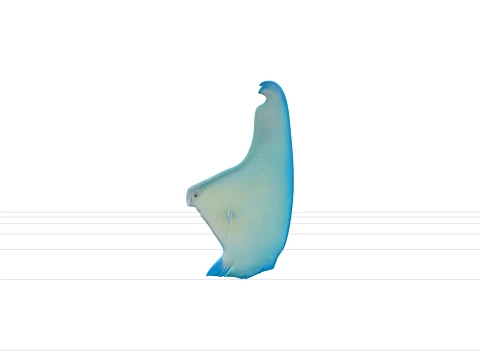 Parrotfish Smile Colorful Model Realistic Fish Detail 3D Model