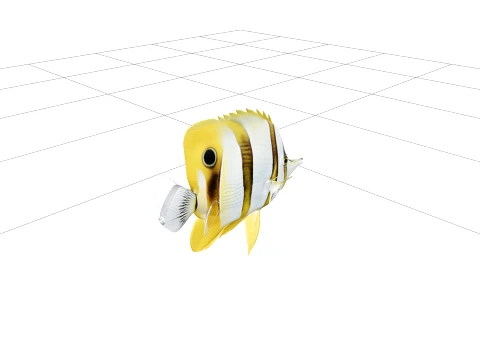Butterflyfish Macro Photo Reference Detail 3D Model