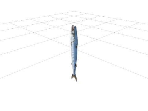 Realistic Barracuda Model Sleek Metallic Silver Fish 3D Model