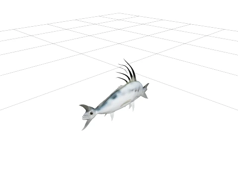Roosterfish Detailed Realistic Marine Animal 3D Model