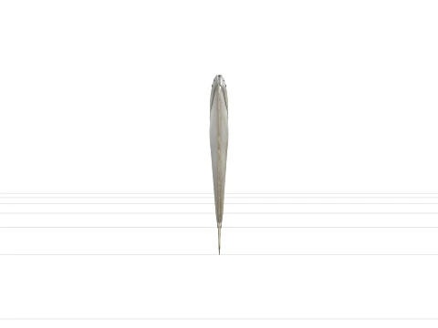 Flounder Orthographic Side View Reference Sheet 3D Model