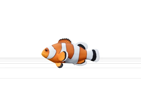 Clownfish Turnaround Model Detailed Reference Sheet 3D Model