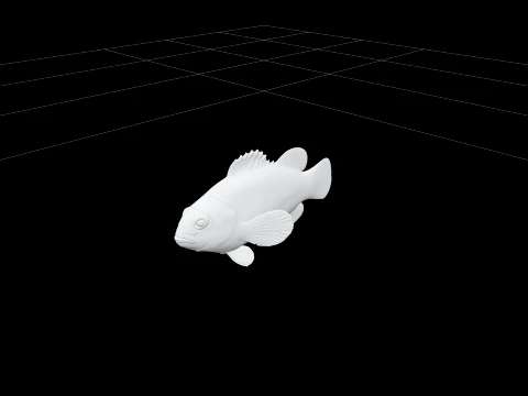 Clownfish Turnaround Model Detailed Reference Sheet 3D Model