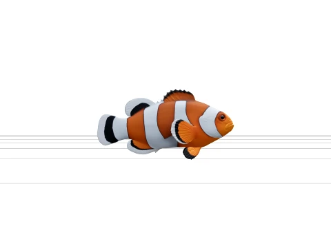 Clownfish Turnaround Model Detailed Reference Sheet 3D Model