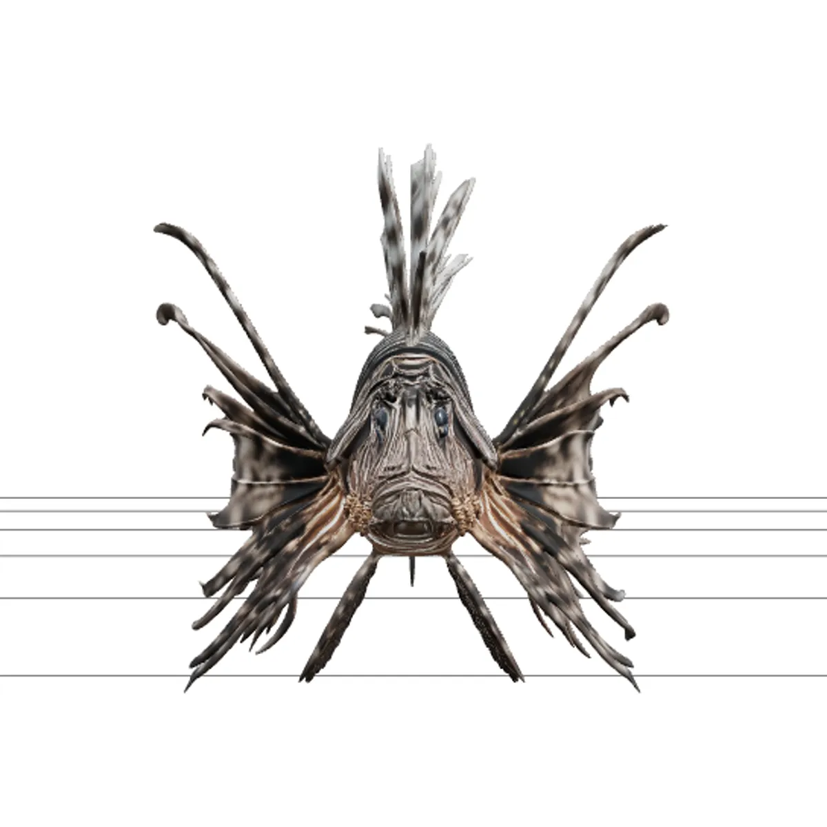 Zebra Lionfish Detailed Anatomy Model for Artists Premium 3D Model .c4d .max .obj .3ds .fbx .stl .blend 