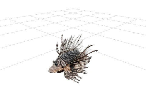 Zebra Lionfish Detailed Anatomy Model for Artists Premium 3D Model