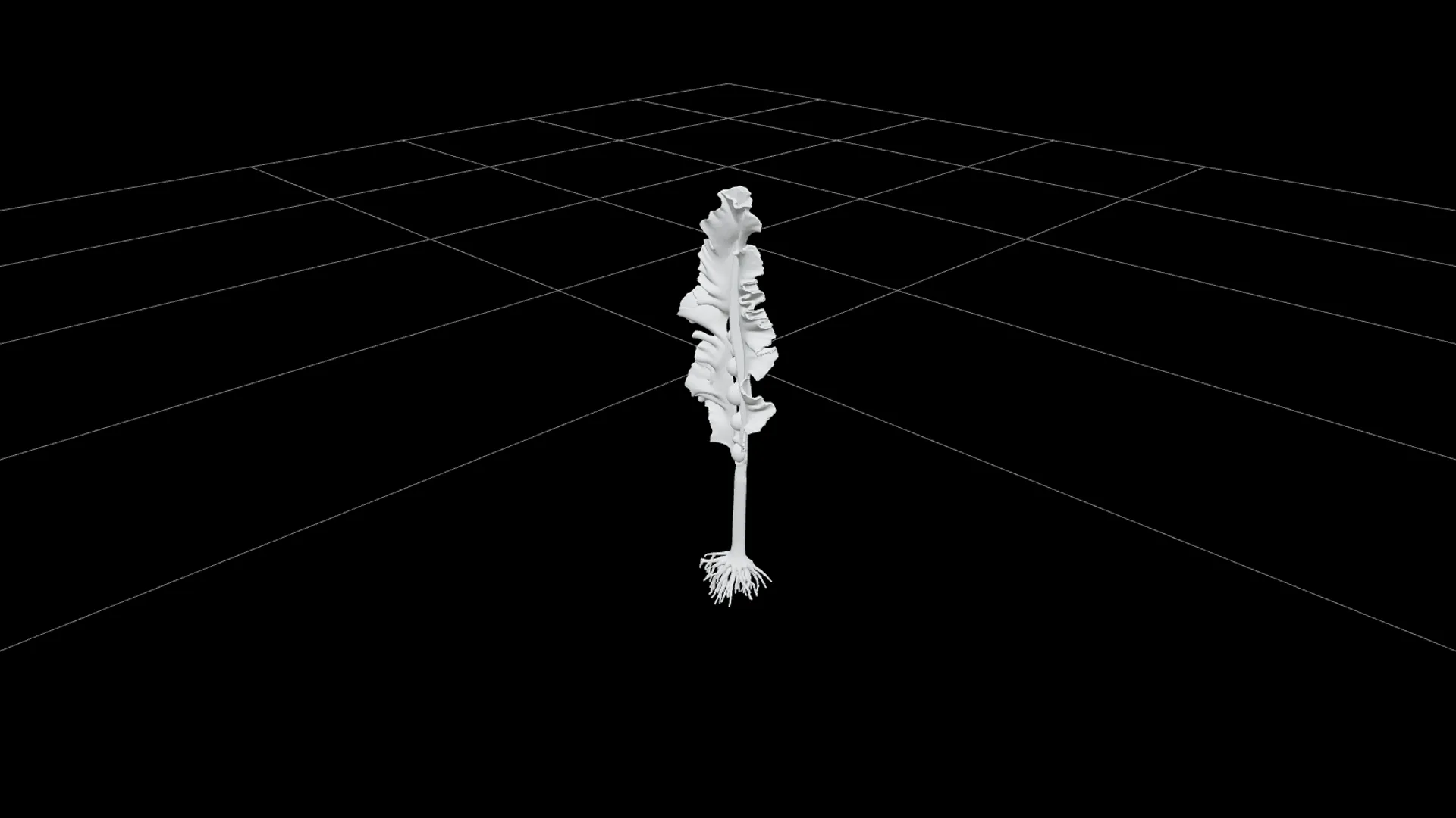 Giant Kelp Section Model with Hollow Stalks and Ruffled Fronds 3D Model .c4d .max .obj .3ds .fbx .stl .blend 