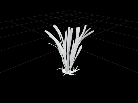 Eelgrass Clump Olive Green Blades Rhizome Runners 3D Model