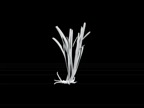 Eelgrass Clump Olive Green Blades Rhizome Runners 3D Model