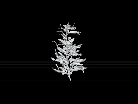 Sargassum Seaweed Cluster Highly Branched Golden Brown Model 3D Model