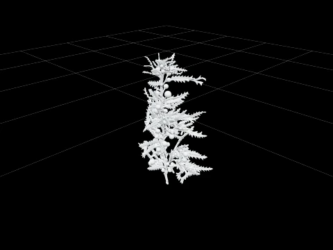 Sargassum Seaweed Cluster Highly Branched Golden Brown Model 3D Model