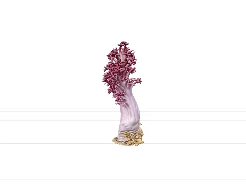 Soft Coral Colony Ultra Realistic Model for Game Assets 3D Model