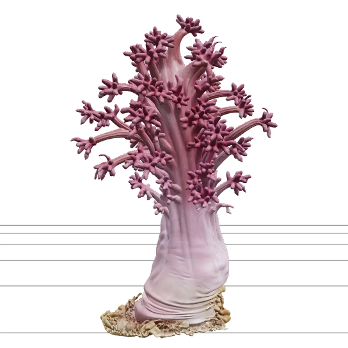 Soft Coral Colony Ultra Realistic Model for Game Assets 3D Model .c4d .max .obj .3ds .fbx .stl .blend 