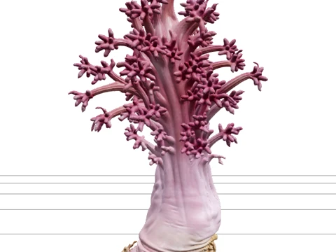 Soft Coral Colony Ultra Realistic Model for Game Assets 3D Model