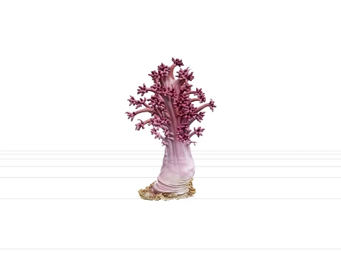 Soft Coral Colony Ultra Realistic Model for Game Assets 3D Model