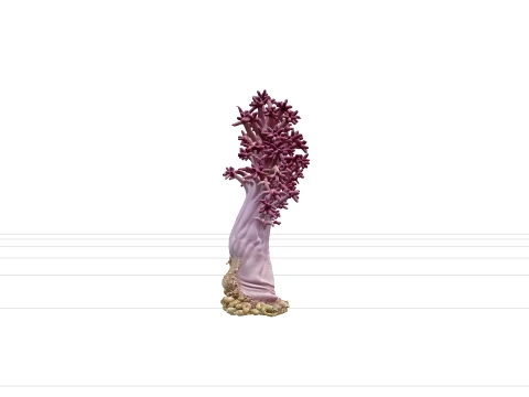 Soft Coral Colony Ultra Realistic Model for Game Assets 3D Model
