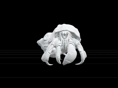 Hermit Crab Macro Detail Model 3D High Resolution Reference 3D Model