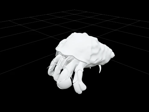 Hermit Crab Macro Detail Model 3D High Resolution Reference 3D Model