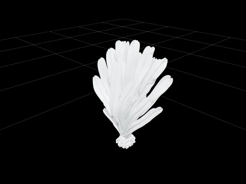 Sea Palm Model Flattened Fronds Olive Green Rubbery Texture 3D Model