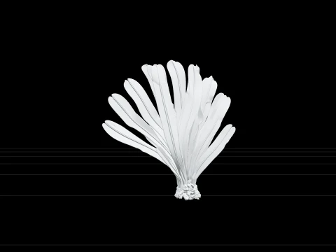 Sea Palm Model Flattened Fronds Olive Green Rubbery Texture 3D Model