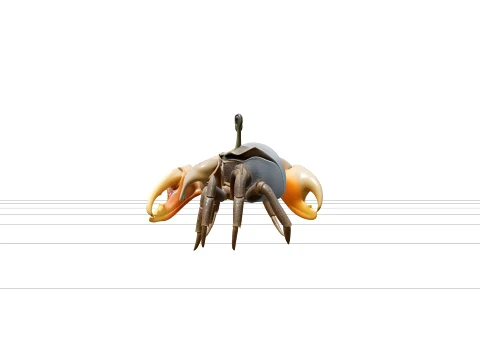 Fiddler Crab Model Detailed Macro Photorealistic High Quality 3D Model