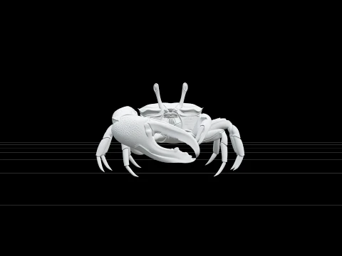 Fiddler Crab Model Detailed Macro Photorealistic High Quality 3D Model