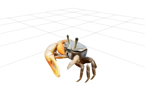 Fiddler Crab Model Detailed Macro Photorealistic High Quality 3D Model