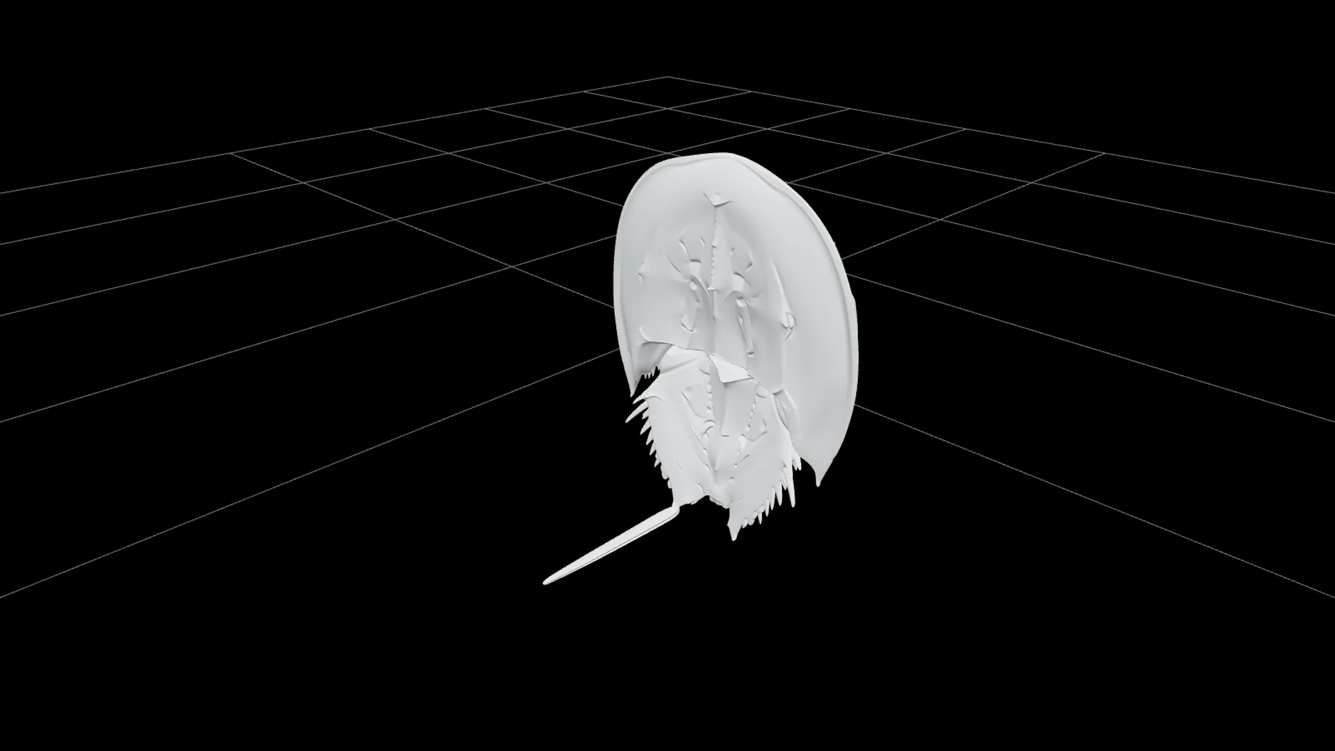 High Detail Horseshoe Crab Model Ready For Games Asset 3D Model .c4d .max .obj .3ds .fbx .stl .blend 