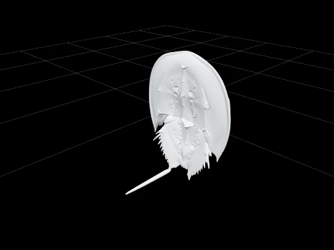 High Detail Horseshoe Crab Model Ready For Games Asset 3D Model