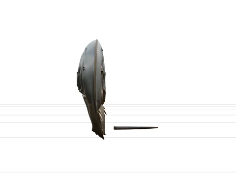 High Detail Horseshoe Crab Model Ready For Games Asset 3D Model