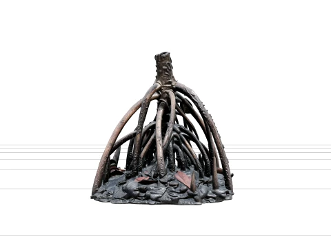Mangrove Estuary Low Tide Terrain Model with Prop Roots Mud 3D Model