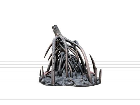 Mangrove Estuary Low Tide Terrain Model with Prop Roots Mud 3D Model