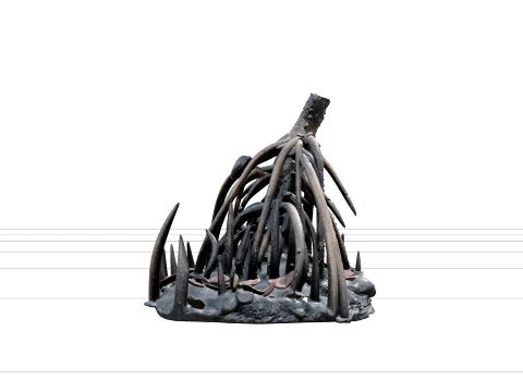 Mangrove Estuary Low Tide Terrain Model with Prop Roots Mud 3D Model