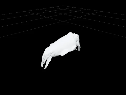 Highly Detailed Cuttlefish Model Realistic Sea Creature Asset 3D Model
