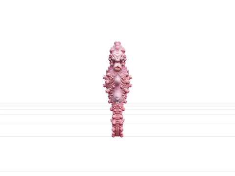Tiny Pink Pygmy Seahorse Model Detailed Realistic Asset 3D Model