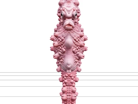 Tiny Pink Pygmy Seahorse Model Detailed Realistic Asset 3D Model