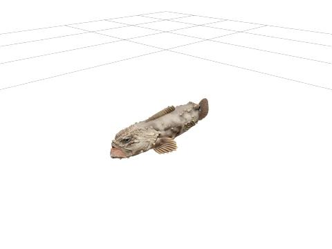 Toadfish High Detail Realistic Detailed Texture 3D Model