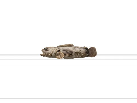 Toadfish High Detail Realistic Detailed Texture 3D Model