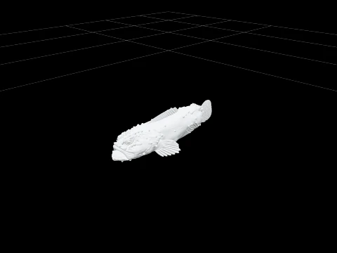 Toadfish High Detail Realistic Detailed Texture 3D Model