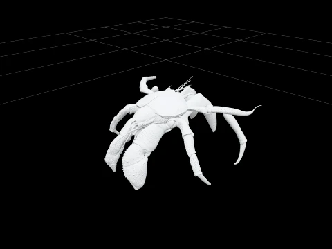 Coconut Crab Hyper Realistic Model Complete Anatomy 3D Model