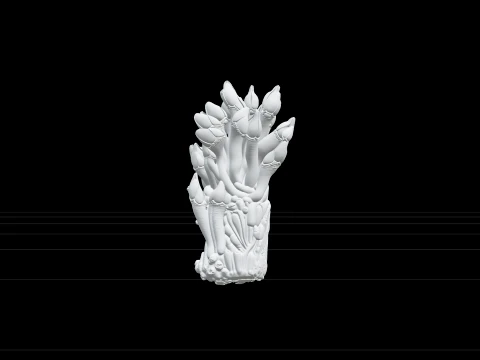 Goose Barnacle Cluster Driftwood Model Reference Sheet Model 3D