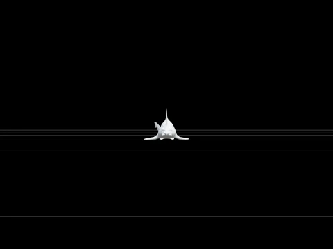 Sawfish Detailed Model Accurate Scale Realistic HighPoly 3D Model