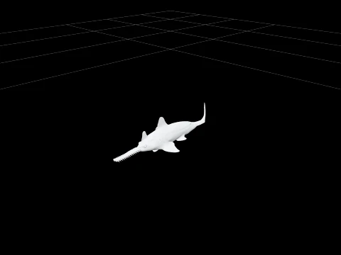 Sawfish Detailed Model Accurate Scale Realistic HighPoly 3D Model