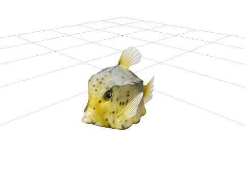 Boxfish Rigid Carapace Bright Spots Realistic ThreeD Model 3D Model