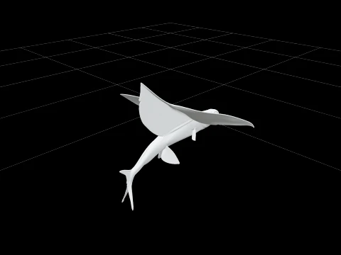 Flying Fish Model Wing Like Fins Forked Tail Detailed Reference 3D Model