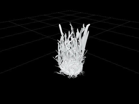 Posidonia Oceanica Seagrass Clump Realistic Texture 3D Model