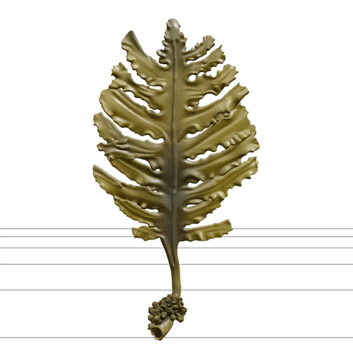 Wakame Seaweed Detailed Model for Scientific Visualization 3D Model .c4d .max .obj .3ds .fbx .stl .blend