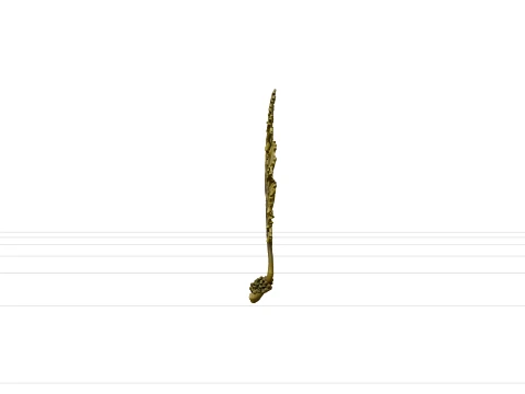 Wakame Seaweed Detailed Model for Scientific Visualization 3D Model