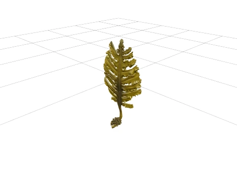 Wakame Seaweed Detailed Model for Scientific Visualization 3D Model