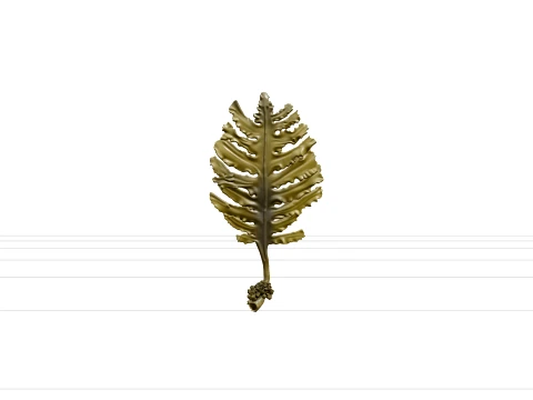 Wakame Seaweed Detailed Model for Scientific Visualization 3D Model